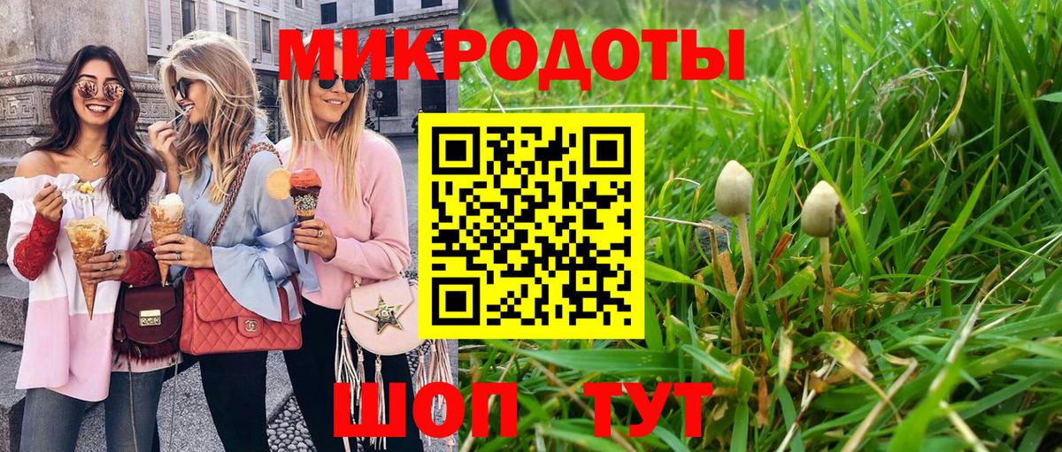 Псилоцибиновые грибы прущие грибы Тула