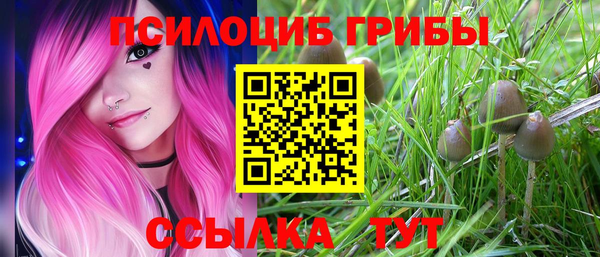 Галлюциногенные грибы Psilocybe  Вход с VPN  Тула 